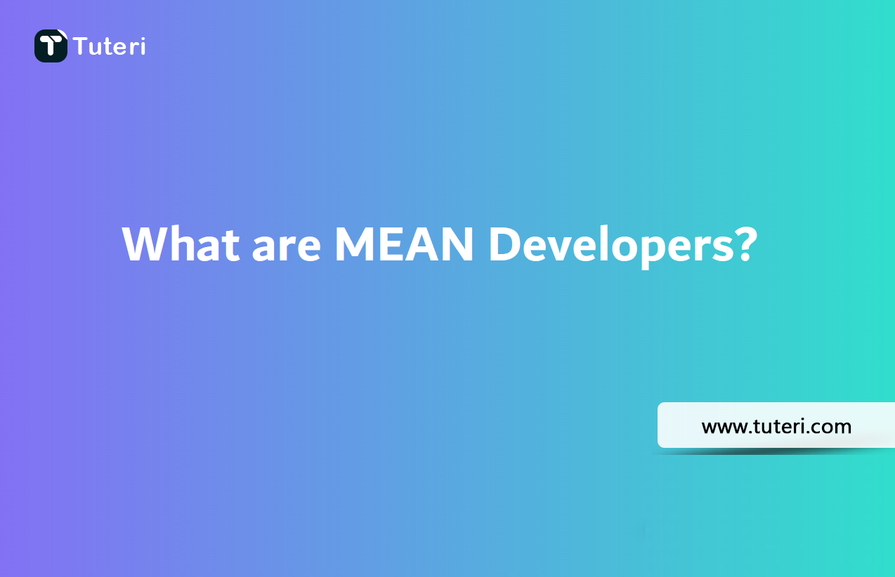 What are MEAN Developers?